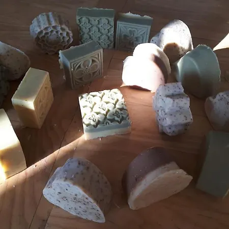 شقة L'endroit : De Jardin Adapte Pmr 40m2 *