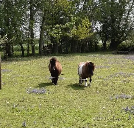 L'endroit : De Jardin Adapte Pmr 40m2 Apartamento *