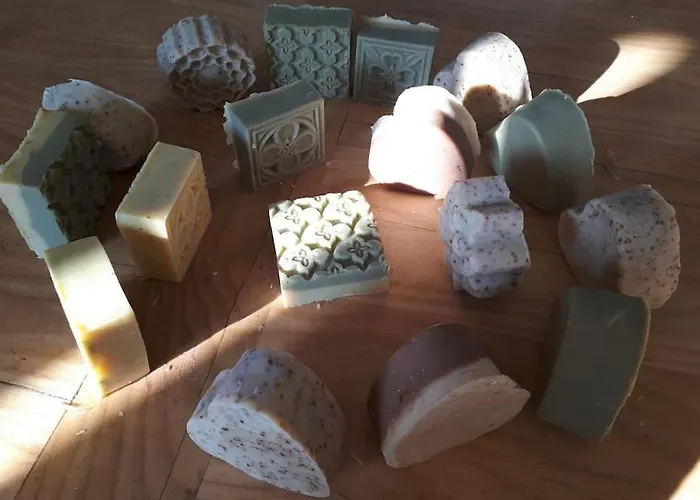 Apartment L'endroit : De Jardin Adapte Pmr 40m2 *