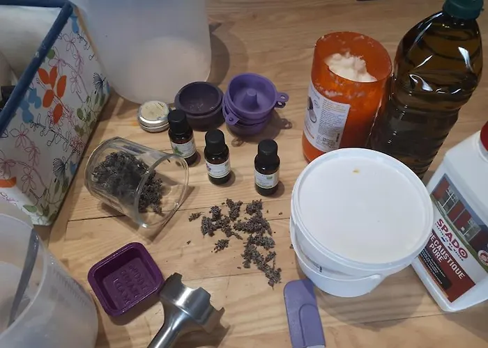 Apartment L'endroit : De Jardin Adapte Pmr 40m2 *