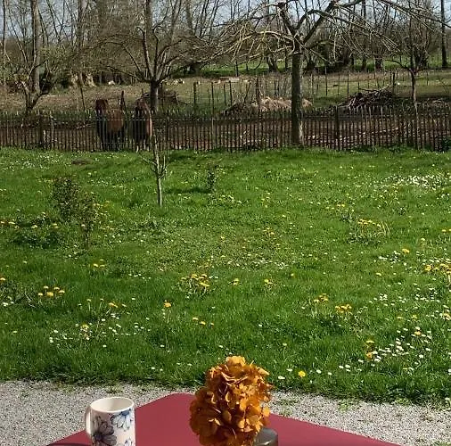 L'endroit : De Jardin Adapte Pmr 40m2 Apartment