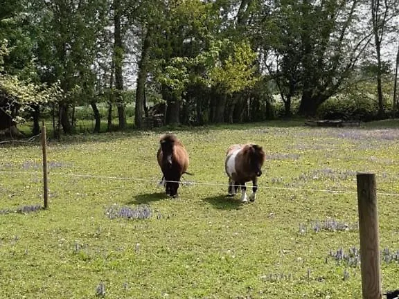 L'endroit : De Jardin Adapte Pmr 40m2 Apartment *